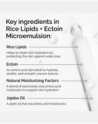 The Ordinary - Rice Lipids + Ectoin Microemulsion