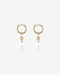 Michael Hill - Drop Earrings with Cultured Freshwater Baroque Pearl in 10kt Yellow Gold