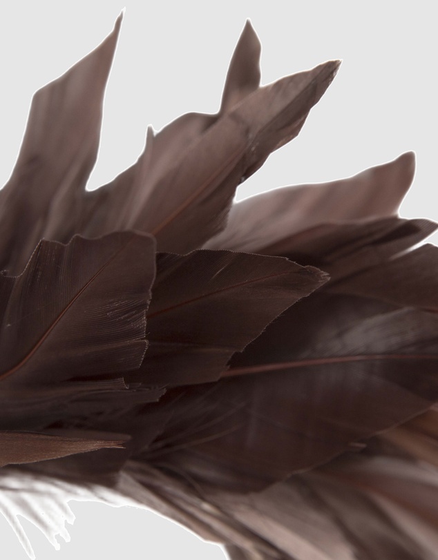 Max Alexander - Modern Brown Racing Fascinator
