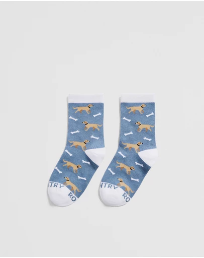 Country Road - Dog Sock