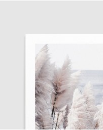 Olive et Oriel - Pampas By The Sea Art Print