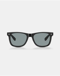 Eclectics - Finley Sunglasses - Polarised