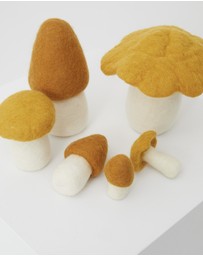 Phile - Crate of Mushrooms