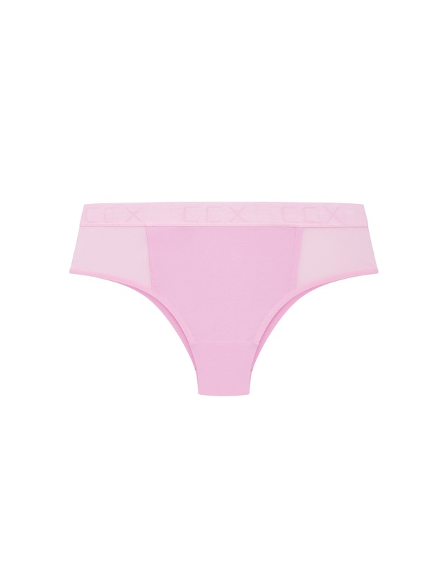 City Chic - Signature Ccx Cheeky Panty - Cherry Blossom