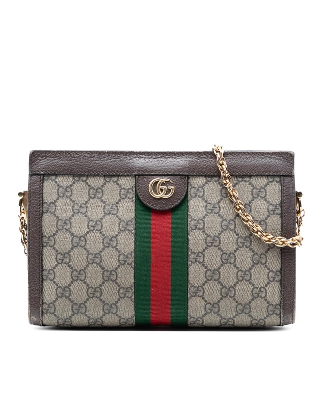 Pre-Loved by Azura Reborn - Pre-Loved Small GG Supreme Web Ophidia Chain Crossbody
