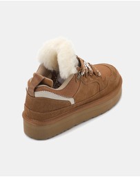 AusWooli Ugg Boots - Hamilton Sheepskin Wool Urban Chic Lace Sneakers