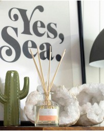 Palm Beach Collection - Watermelon Mini Reed Diffuser 50ml