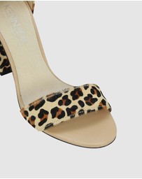 Kennedy - Stately