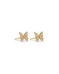 Michael Hill - Butterfly Stud Earrings in 10kt Yellow Gold