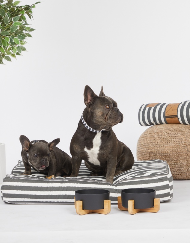 Mog & Bone - Classic Cushion Dog Bed - Charcoal Hampton Stripe