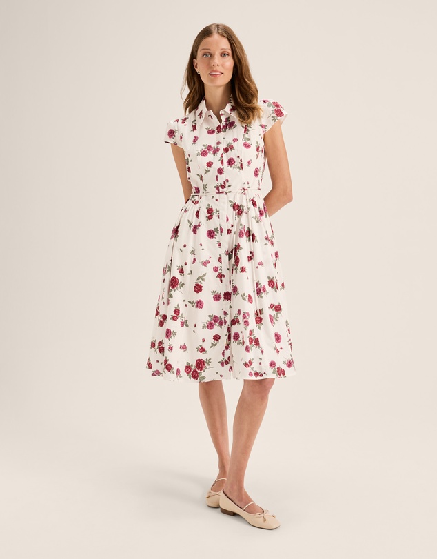 Review - Cameo Shirt Dress