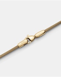 Daniel Wellington - Mesh Bracelet Evergold 1.8mm