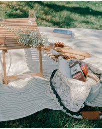 Business & Pleasure Co. - The Folding Picnic Table