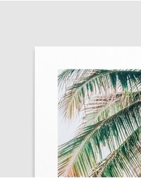 Olive et Oriel - Maldivian Palm II Art Print