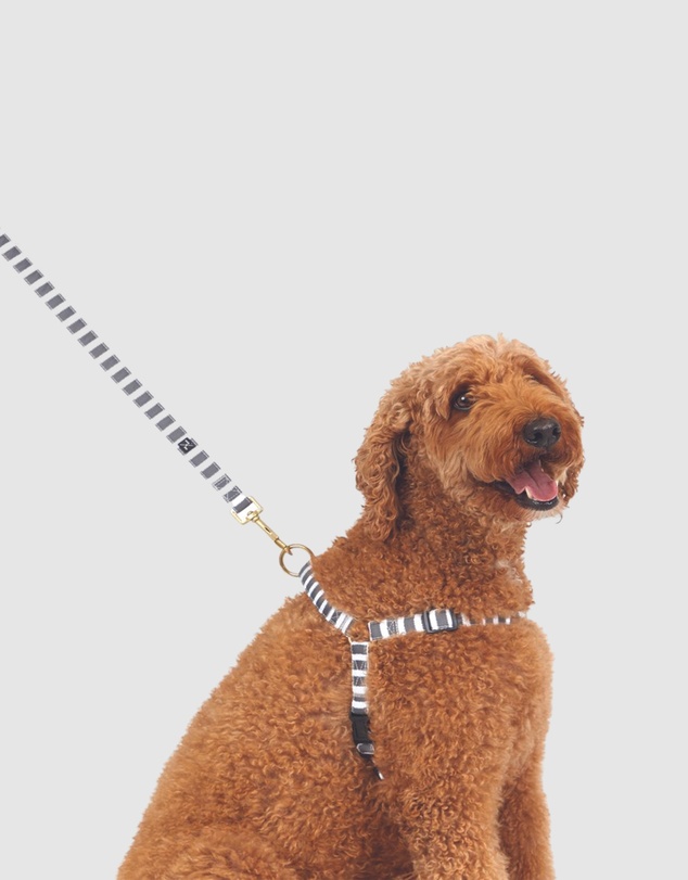 Mog & Bone - Hemp Harness - Charcoal Hampton stripe