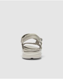 Active Flex - Native