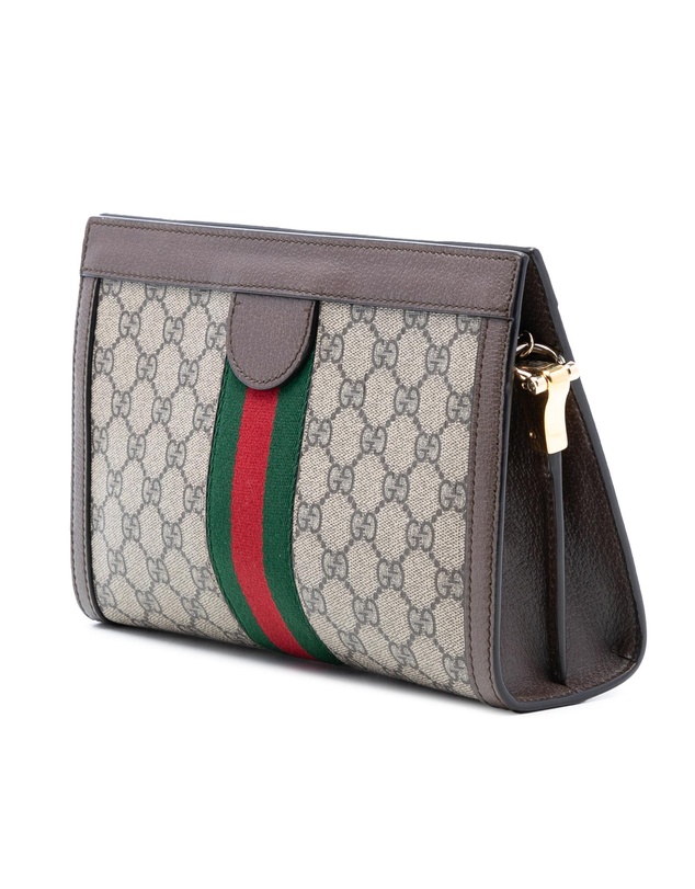 Pre-Loved by Azura Reborn - Pre-Loved Small GG Supreme Web Ophidia Chain Crossbody