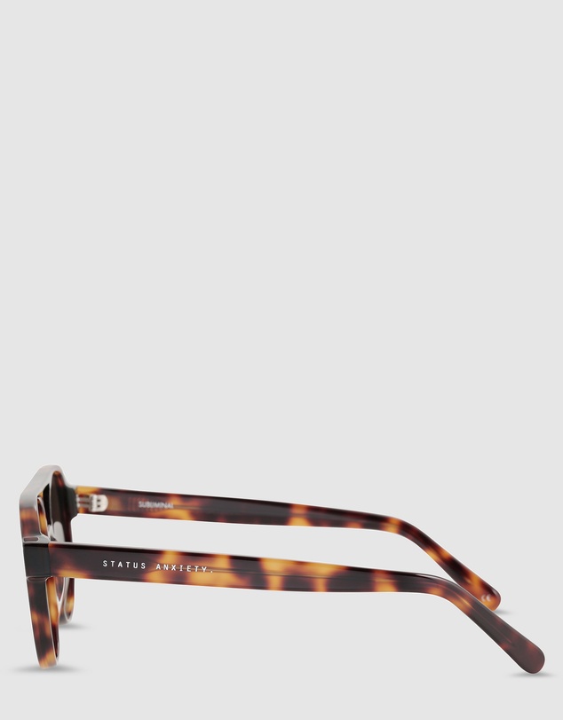 Status Anxiety - Subliminal Sunglasses