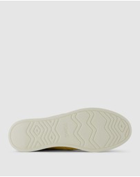TOMS - Alpargata Plus