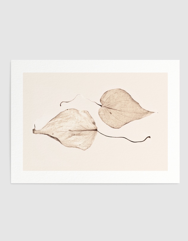 Olive et Oriel - Feuille D'or II Art Print