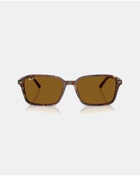 Ray-Ban - Raimond