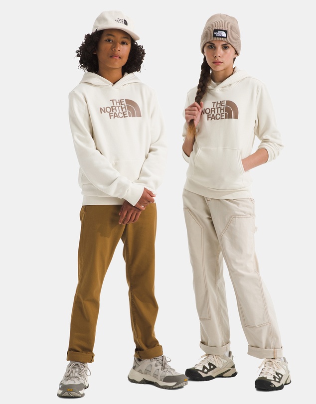 The North Face - Evolution Half Dome Pullover Hoodie - Teens