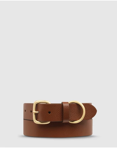 Status Anxiety - Disarm Belt