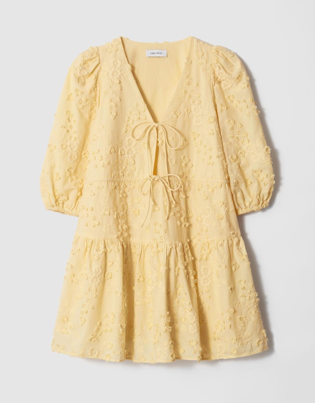 & Other Stories - Embroidered Mini Dress