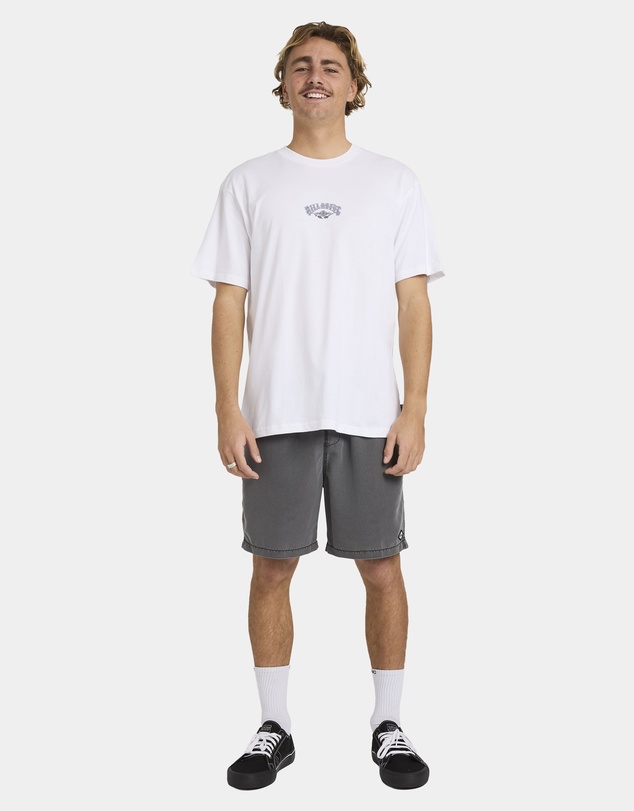 Billabong - Mens Rose Arch Regular T-Shirt