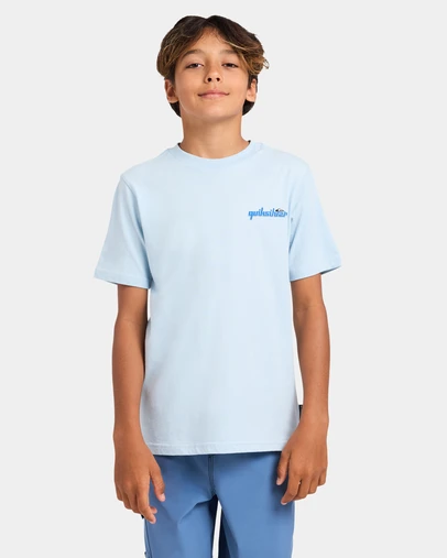 Quiksilver - Boys 8 to 16 Alph T-Shirt