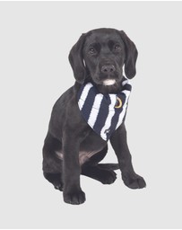 Mog & Bone - Dog Bandana - Navy Hamptons Stripe Print
