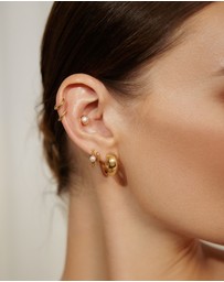 Ania Haie - Gold Chubby Medium Huggie Hoop Earrings