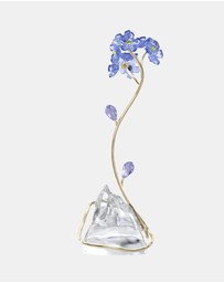 Swarovski - Florere Forget-me-not