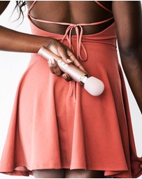 Le Wand - Le Wand Petite Rechargeable Massager