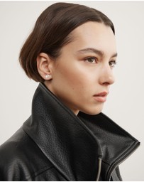 Witchery - Tabitha Stud Earrings
