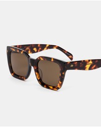 SITO Shades - Harlow - Polarised