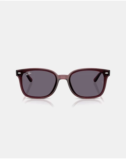 Ray-Ban - RB4461D