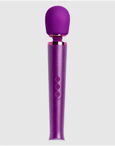 Le Wand - Le Wand Petite Rechargeable Massager