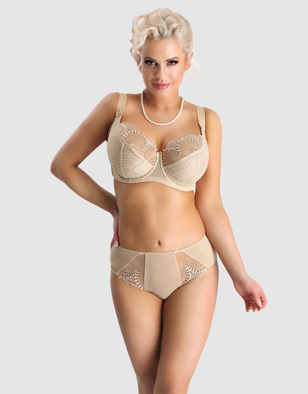 Nessa - Sonata High Waist Full Cut Brief with Embroidery