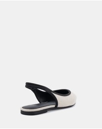 Novo - Cassey Flats