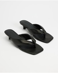 Sol Sana - Sir Heels