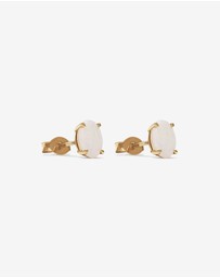 Michael Hill - Stud Earrings with Opal in 10kt Yellow Gold