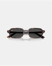 Ray-Ban - RB4455