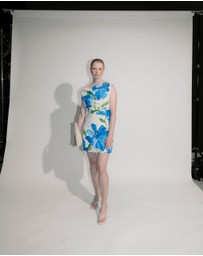 Lover - Eliza Ruched Asymmetric Mini Dress