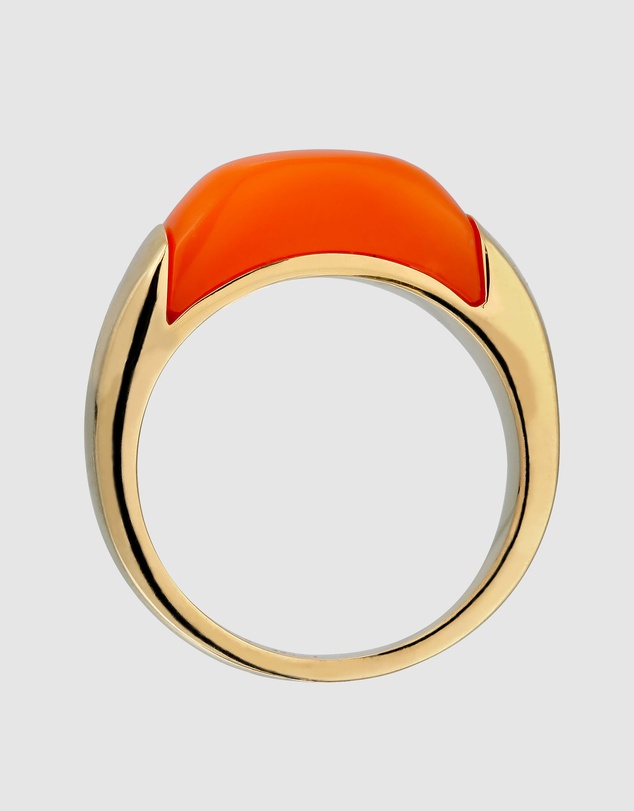 Elli Jewelry - Orange Resin Signet Ring in Gold-Plated 925 Silver