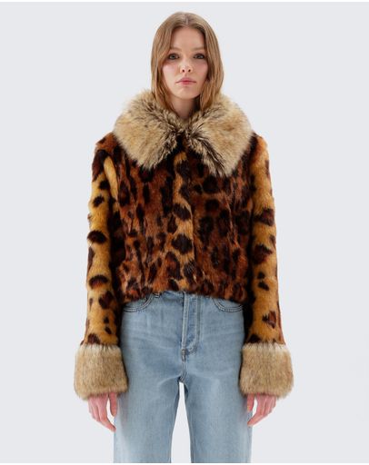 Leopard