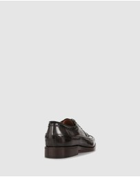 Brando - Wing Brogues And oxford
