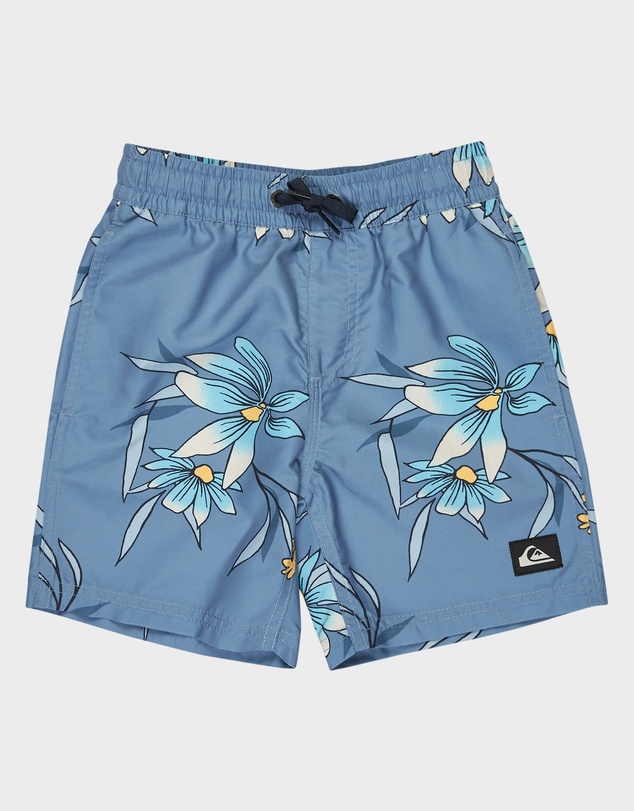 Quiksilver - Boys 2 to 7 Everyday 13
