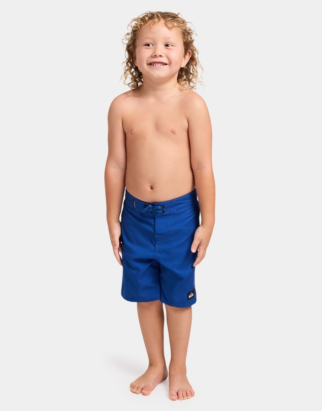 Quiksilver - Boys 2 to 7 Everyday Billboard 13