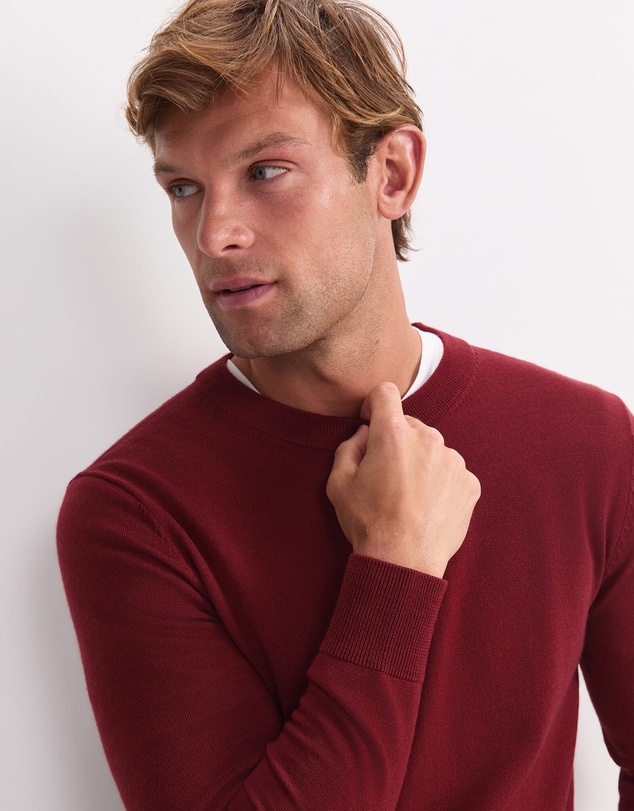 Sportscraft - Merino Crew Neck Knit